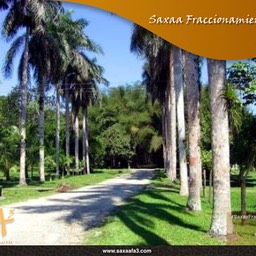 poster Saxaa Fraccionamiento FA3.001
