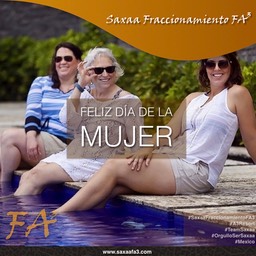 poster Saxaa Fraccionamiento FA3.028