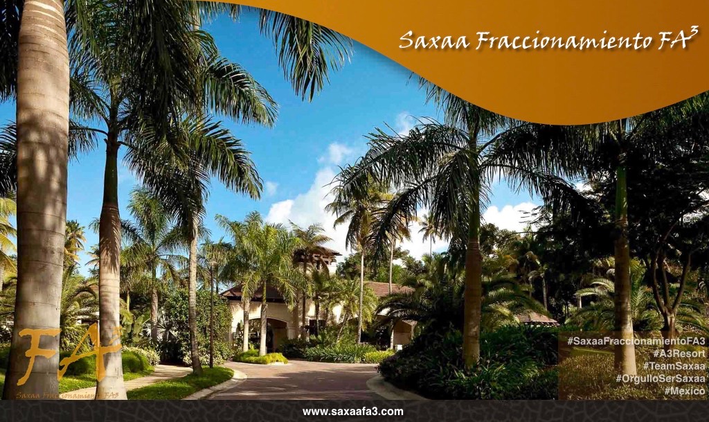 poster Saxaa Fraccionamiento FA3.022
