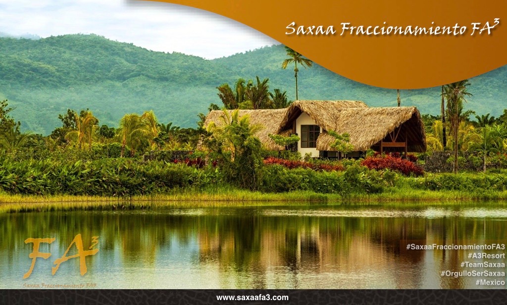 poster Saxaa Fraccionamiento FA3.013